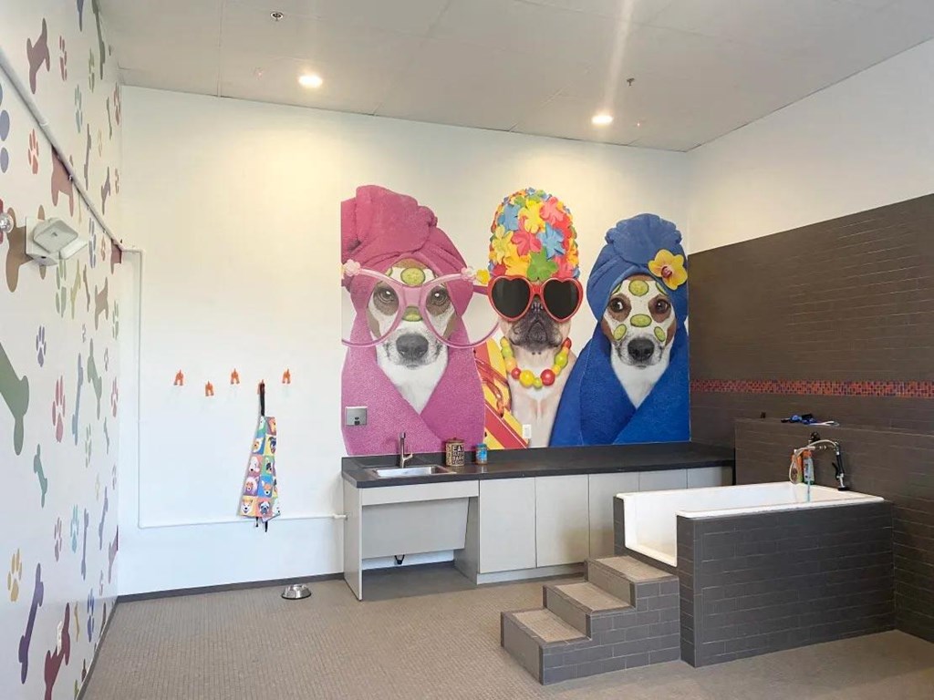 a mural of three dogs wearing hats and sunglasses in a lobby