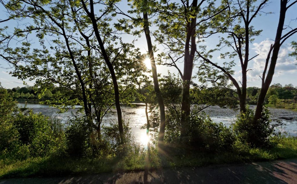 the sun shining through the trees by the river