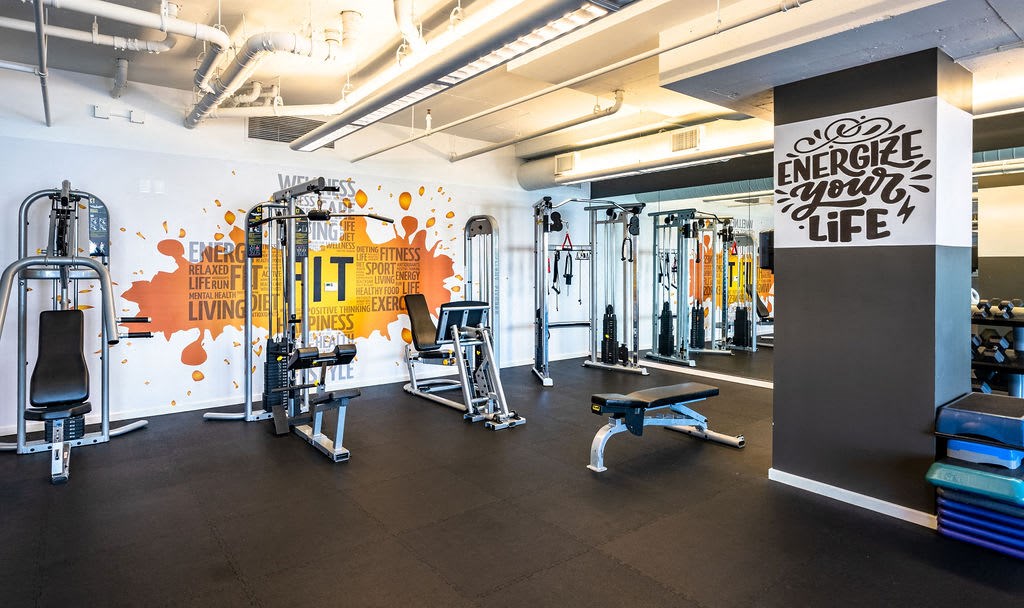 a workout room with weights and other exercise equipment and a wall with a mural