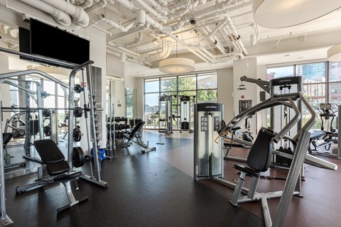 A gym with a variety of equipment including a squat rack, bench press, and a cable machine.