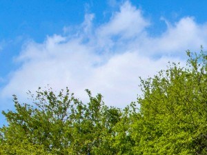 sundeck - Photo Gallery