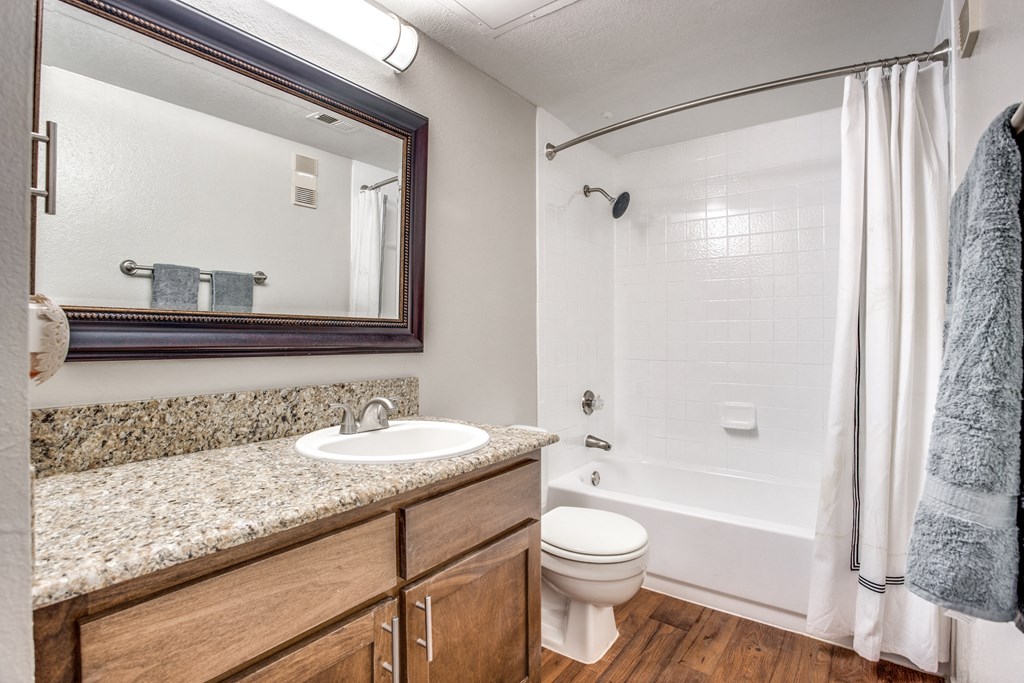 Step into a stylish bathroom retreat featuring granite countertops, wood cabinetry, and a sleek, modern tub-shower combo.
