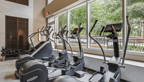 A row of elliptical machines are lined up in a gym.