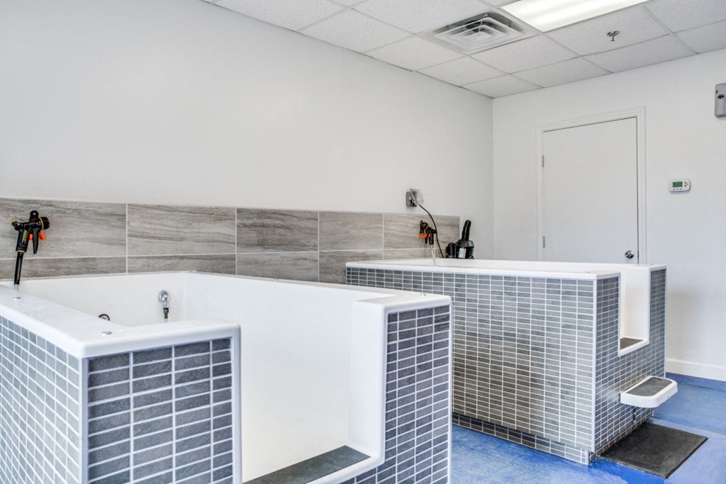 Photo of Fountain Points dog washing station and room