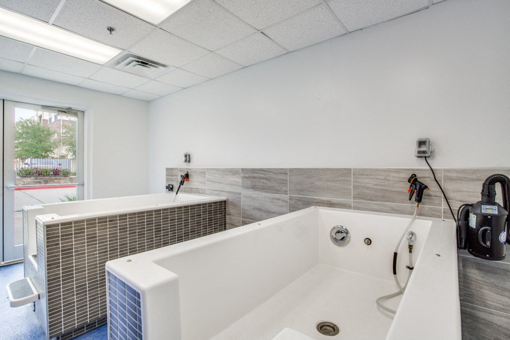 Photo of Fountain Points dog washing station and room