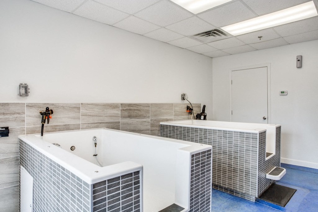 Photo of Fountain Points dog washing station and room