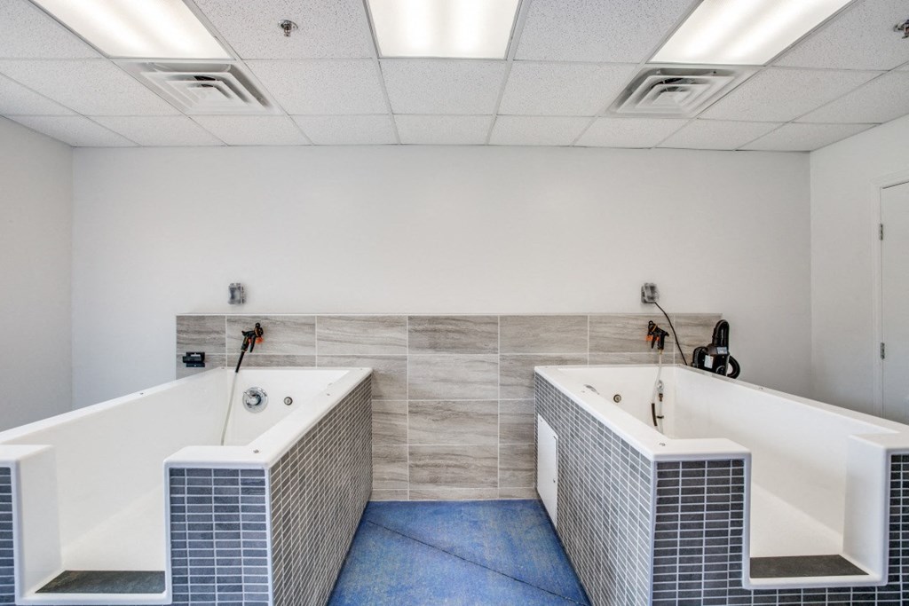 Photo of Fountain Points dog washing station and room