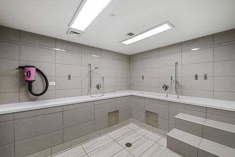 A bathroom with a pink hose on the wall.