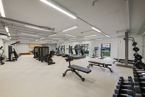 A gym with a variety of equipment including treadmills, weights, and benches.