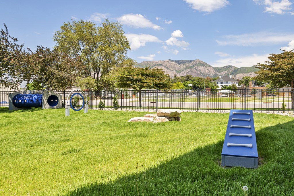a grassy area with a blue trampoline in the middle of it