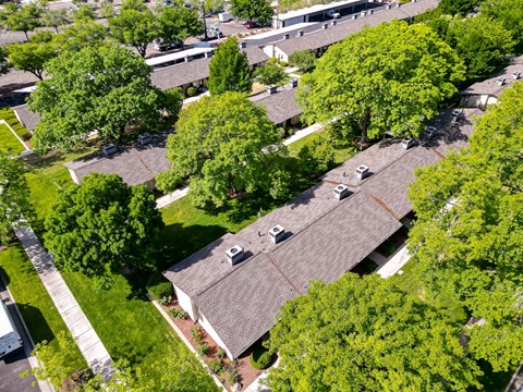 A residential area with houses and trees.