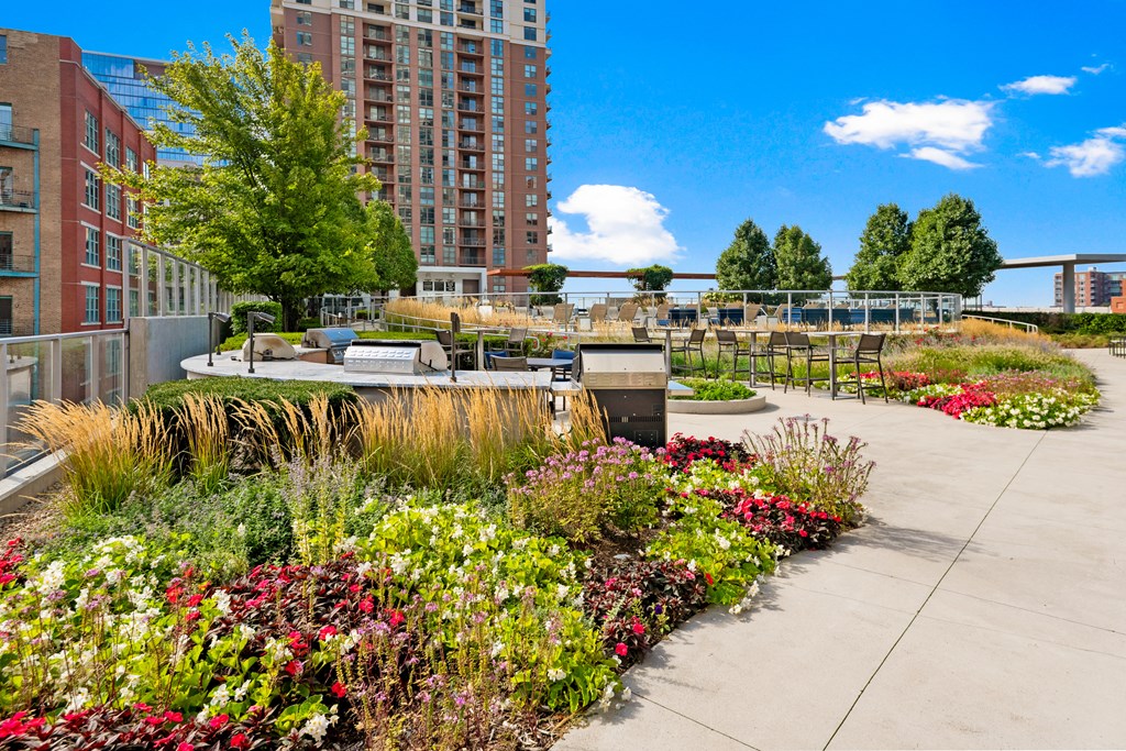 South loop roof top at 1001 South State, IL, Chicago