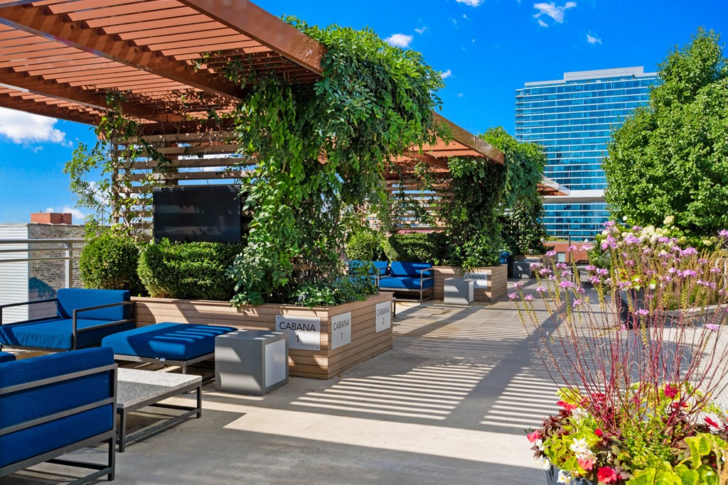 Relaxing Cabana with TV at 1001 South State, Illinois, 60605