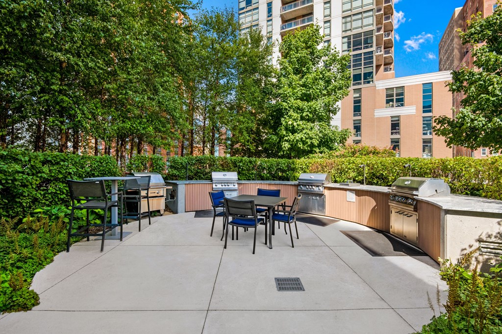 Picnic & BBQ  at 1001 South State, Chicago, 60605