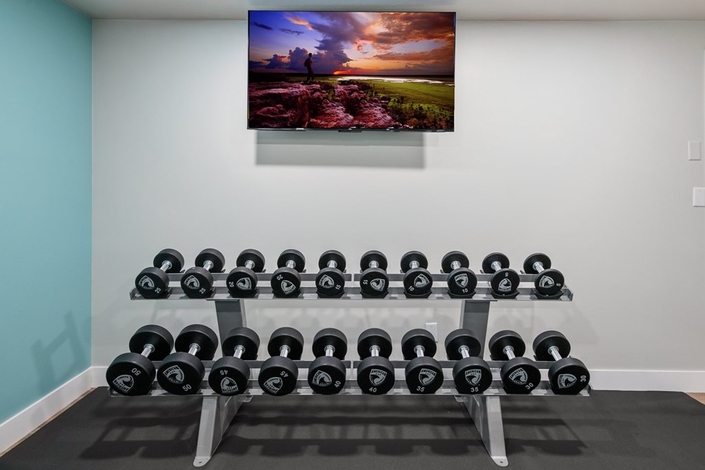 A gym with a row of dumbbells and a painting on the wall.
