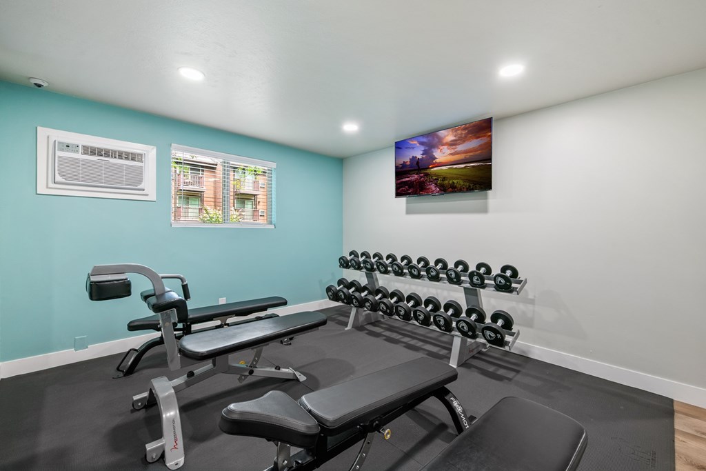 A  gym with a bench, weights, and a television.