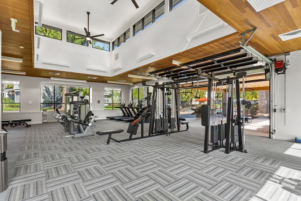 A gym with a variety of equipment including treadmills, weights, and a bench press.