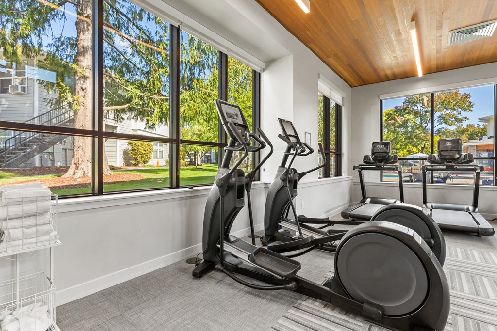 A room with a row of exercise bikes and a view of a tree-lined street outside.
