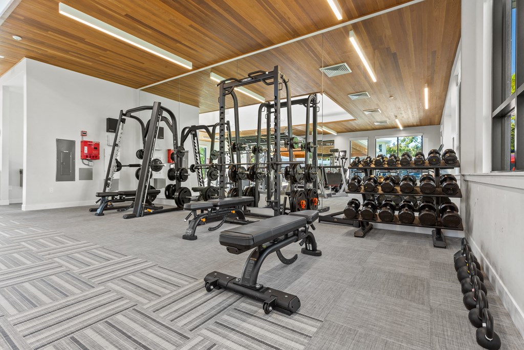 A gym with a variety of equipment including weights and weight machines.