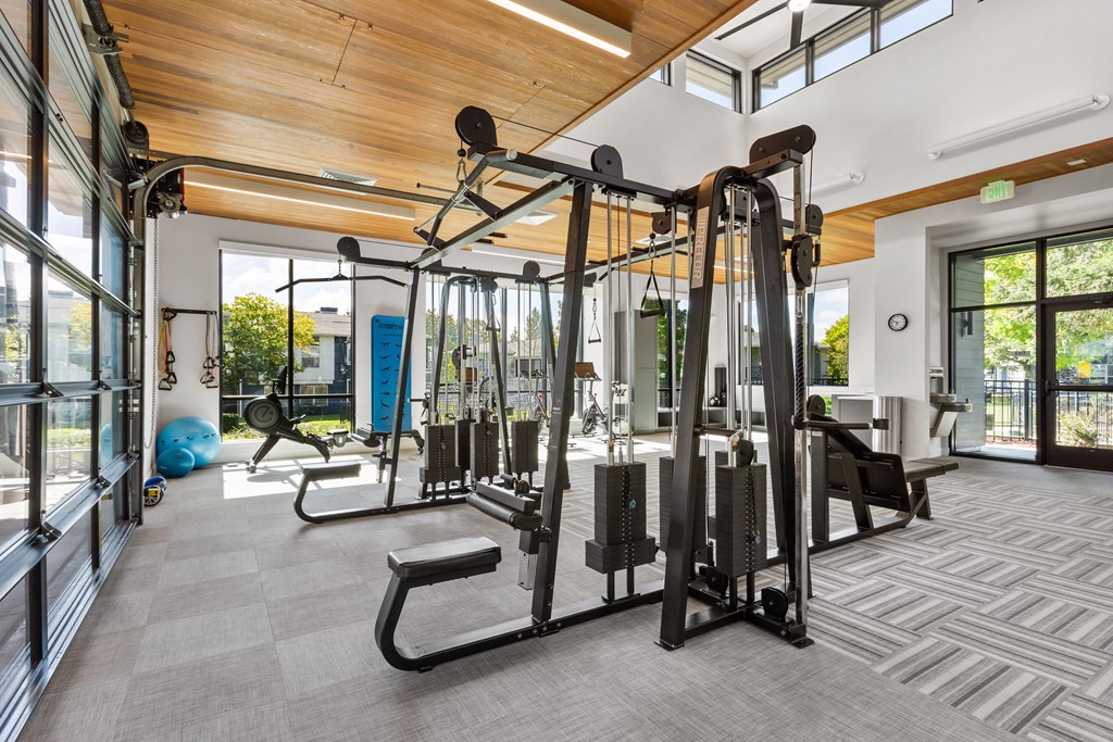A gym with a variety of equipment including a squat rack, bench, and weights.