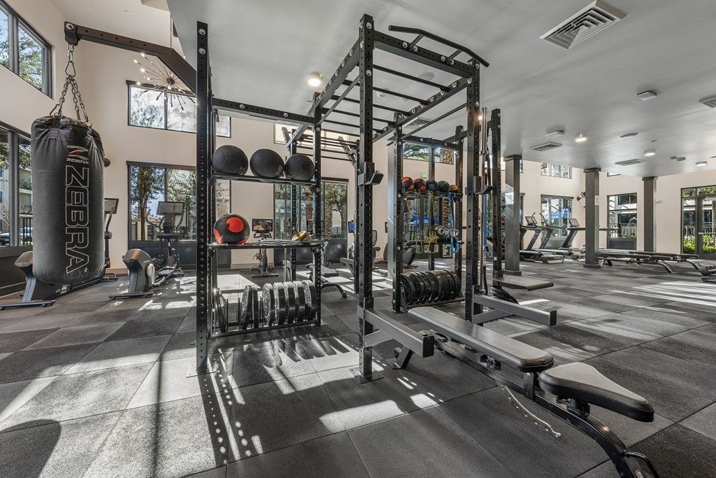a gym with weights and other equipment in a building with windows
