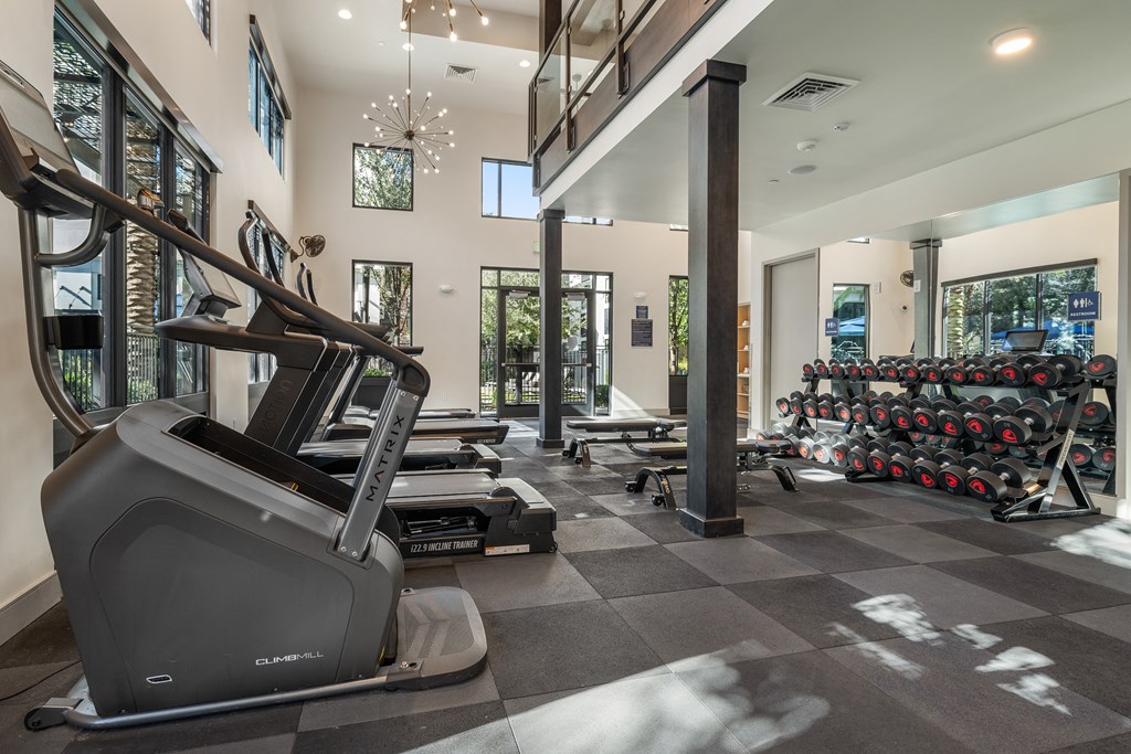 a gym with treadmills and weights in a building with windows