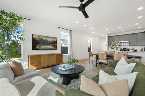 A living room with a grey couch and a green couch.