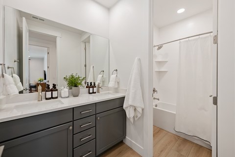 A bathroom with a white sink and a mirror.