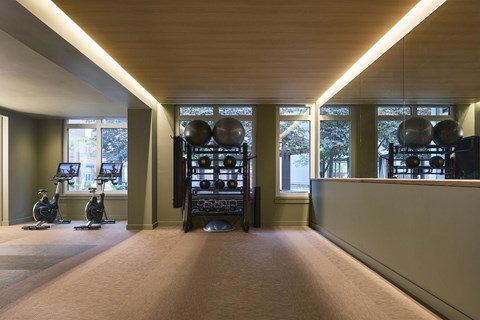 A gym with a row of exercise balls on a shelf.