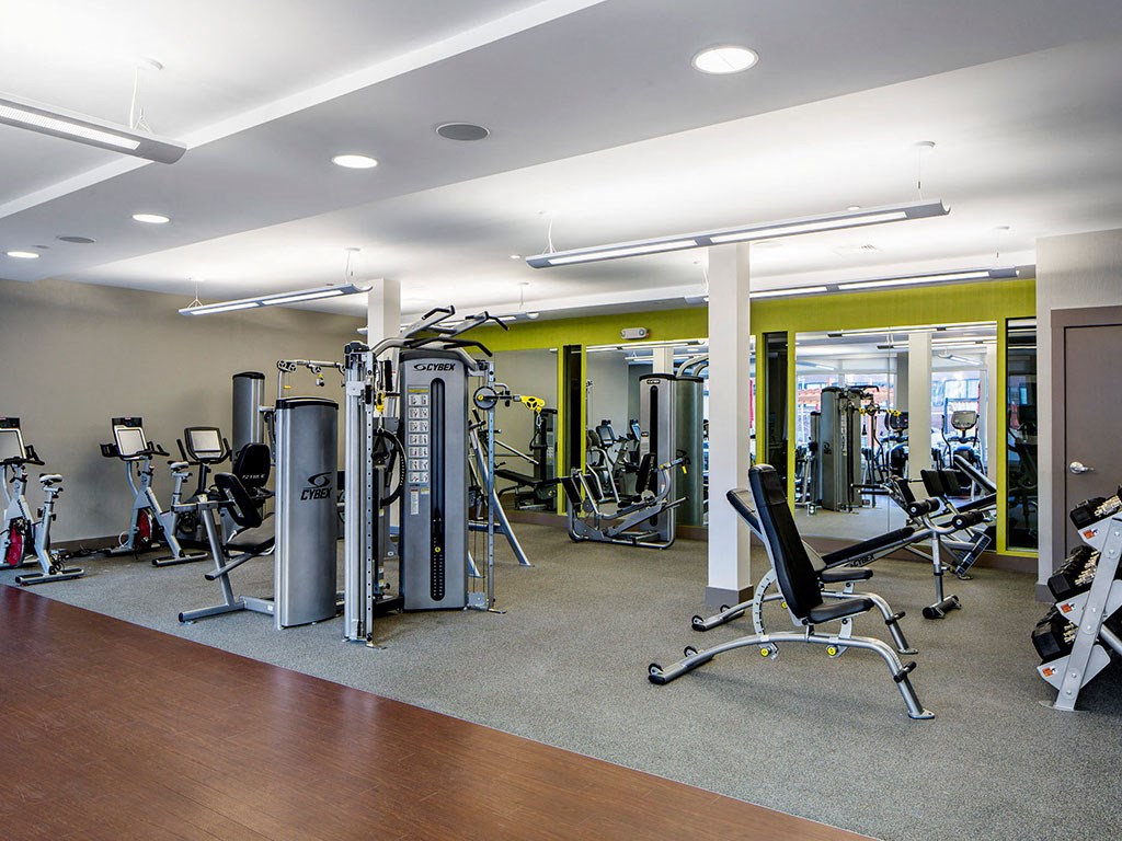a gym with weights, spin bikes, and other exercise equipment