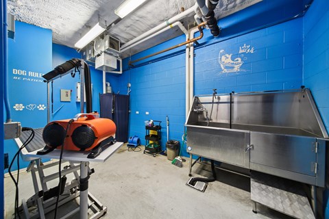 A dog washing station with a blue wall and a sign that says "DOG WASH".