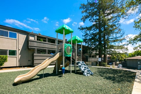 Playground at 1038 on Second, California, 94549