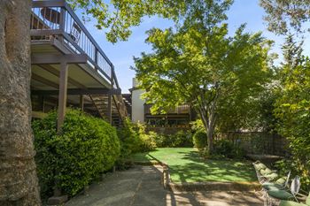 Lush Property Courtyard and Relaxing Green Area at 3543 Brook Street Apartments in Lafayette, CA