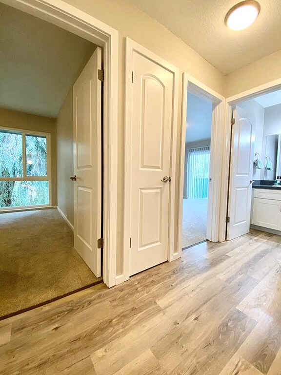 Vaulted Ceilings at 1038 on Second, Lafayette, CA, 94549