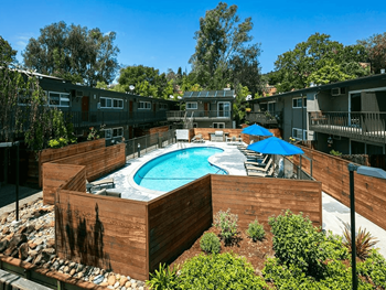 Glistening Swimming Pool with Lounge Seating and Blue Umbrellas at 1038 on Second in Lafayette, CA