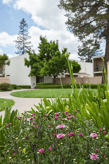 Spacious Courtyard Area with Meticulous Landscaping and Garden Areas at Diablo Pointe in Walnut Creek, California 94596