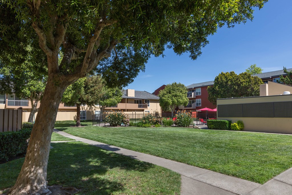 Lush Green Courtyard Wit Walking Paths at Carriage House, Fremont, CA 94536