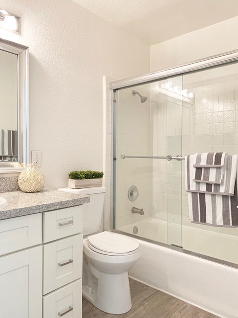 Bathroom at Park Avenue Apartments, San Jose