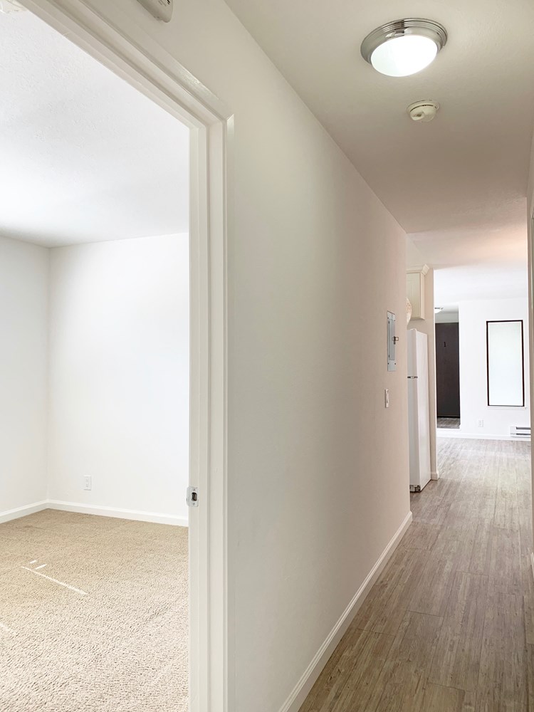 Park Avenue Apartments