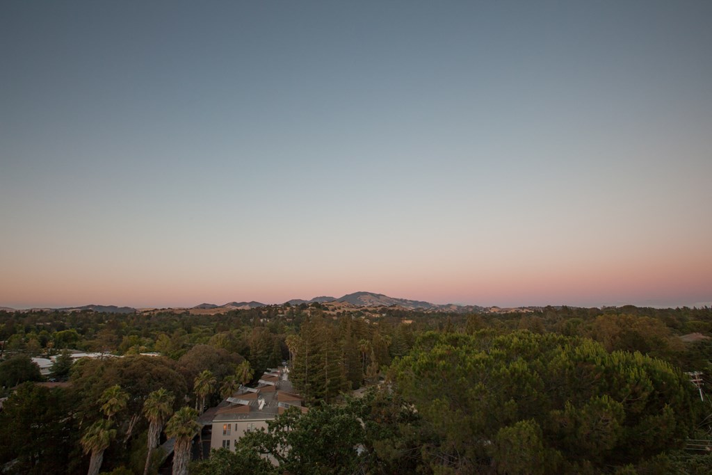 Castlewood Apartments