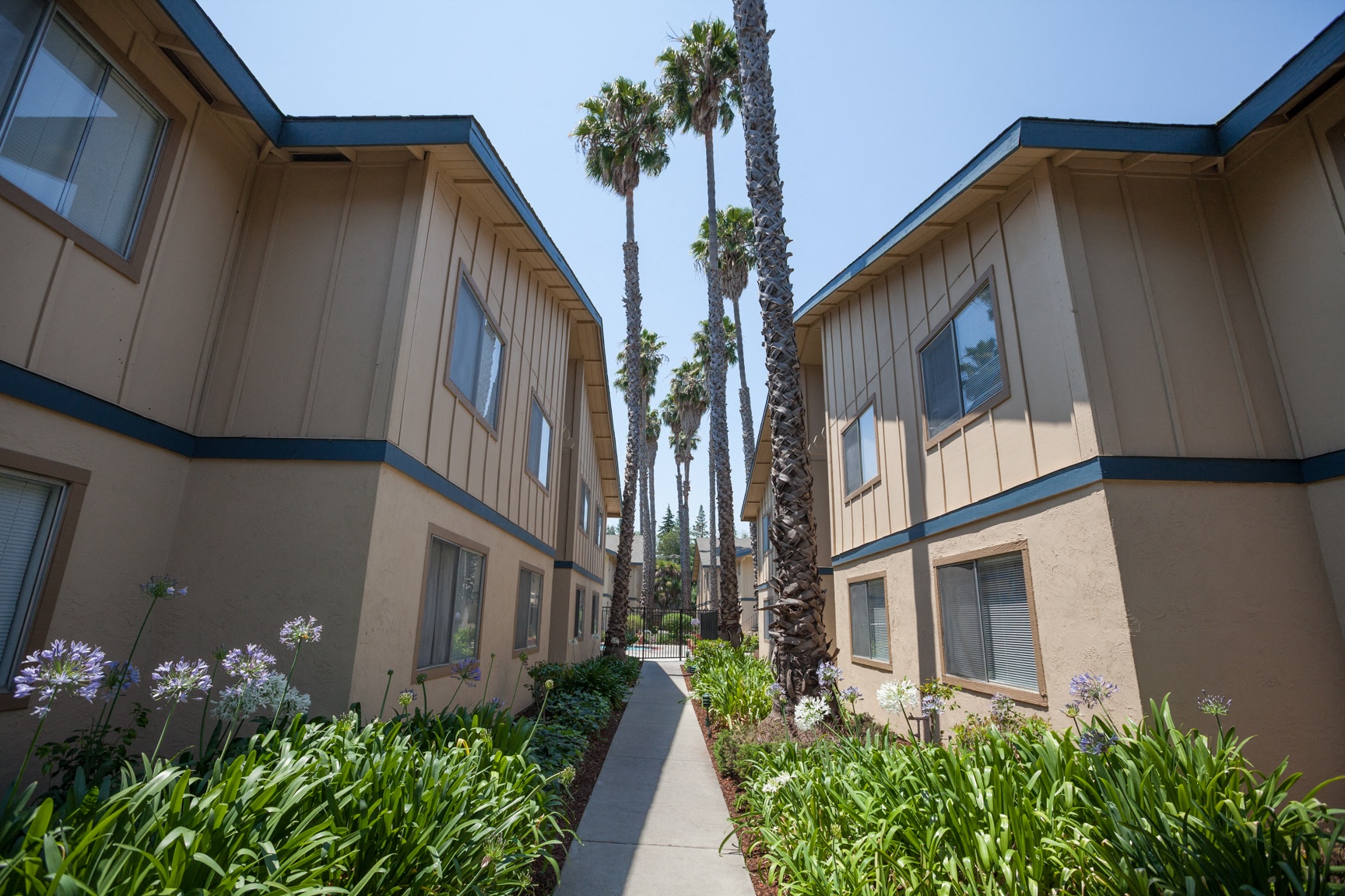 Cedartree Apartments 2420 Pacific Dr Santa Clara Ca Rentcafe