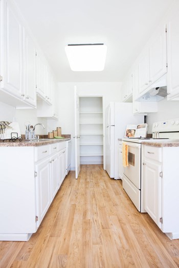 Appletree Apartments 831 Gale Dr Campbell Ca Rentcafe