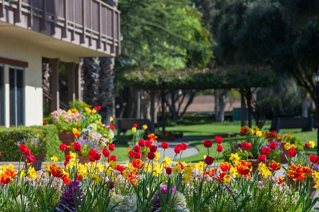 Courtyard With Green Space at Valley West, San Jose