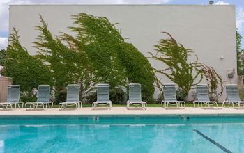 Sparkling Swimming Pool at Diablo Pointe in Walnut Creek, California