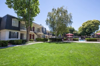 Lush Landscaping Lush Landscaping at Normandy Park, California, 95050 - Photo Gallery 5