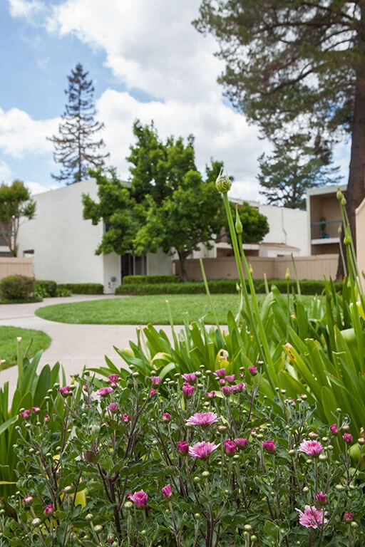 Diablo Pointe Apartments