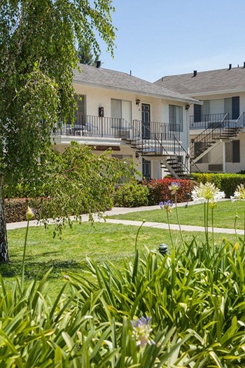 Courtyard With Green Space Courtyard With Green Space at Vista Pointe, Santa Clara, CA, 95051 - Photo Gallery 3