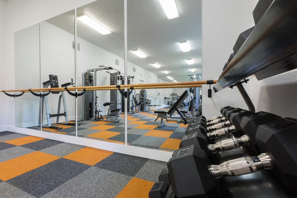 Free Weights In Gym at Valley West, San Jose, CA, 95122