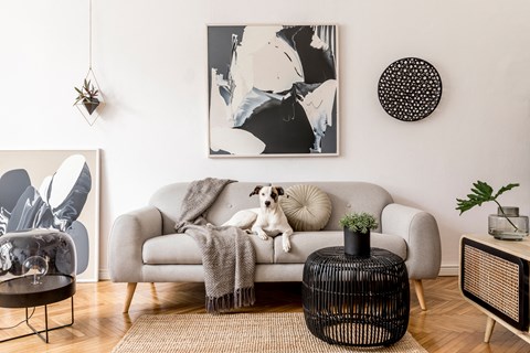 a dog sitting on a couch in a living room