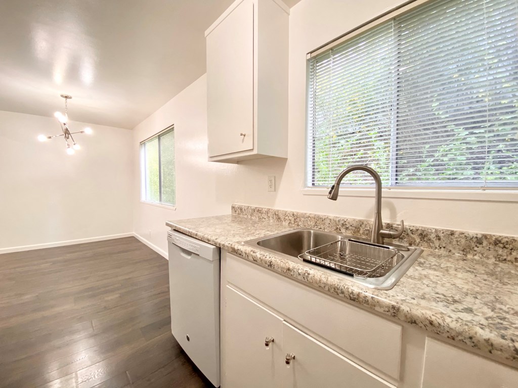 Double Sink With Integrated Sprayer at 2120 Valerga Drive Belmont, Belmont, California
